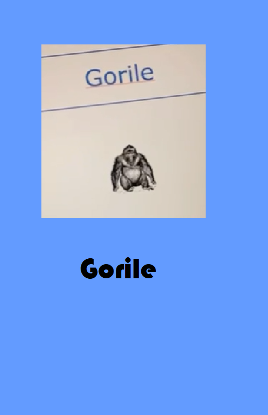 gorile.png